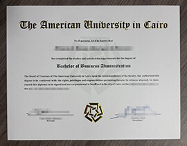 How to Get a Quick Copy of Your American University in Cairo degree