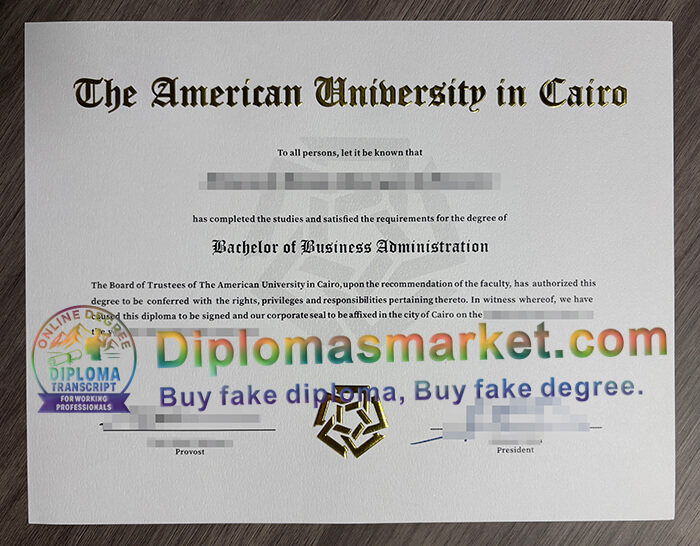 American University in Cairo diploma