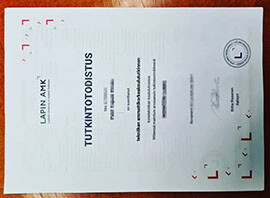 Copy Your Lapland University of Applied Sciences Degree Online