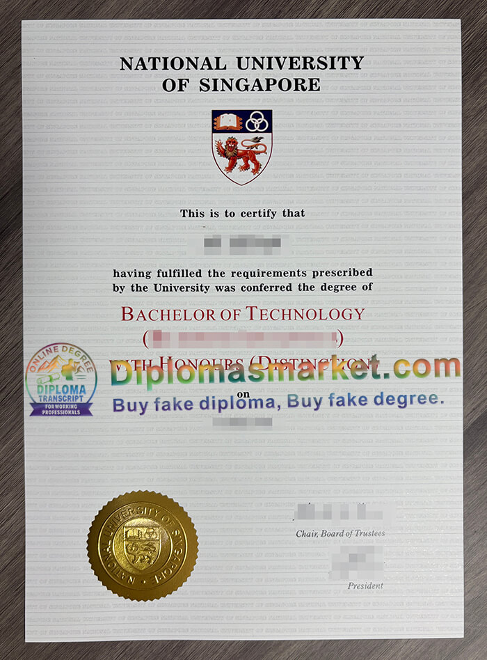 National University of Singapore diploma