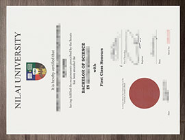 How to Securely Copy a Nilai University Diploma Online?