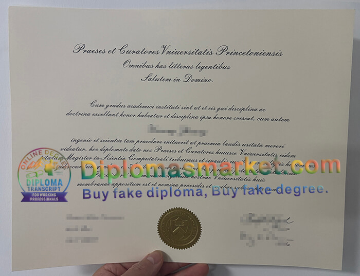 Princeton University degree
