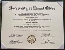 Empower Your Resume with a University of Mount Olive Diploma Duplicate