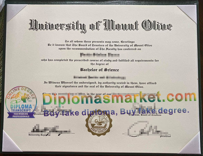 University of Mount Olive degree