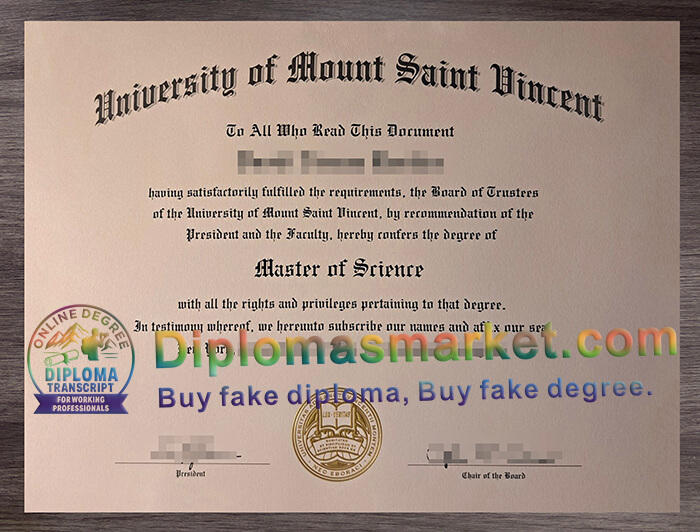 University of Mount Saint Vincent degree