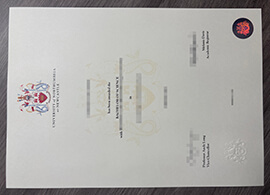 Get a University of Northumbria Degree Copy Online with No Risk
